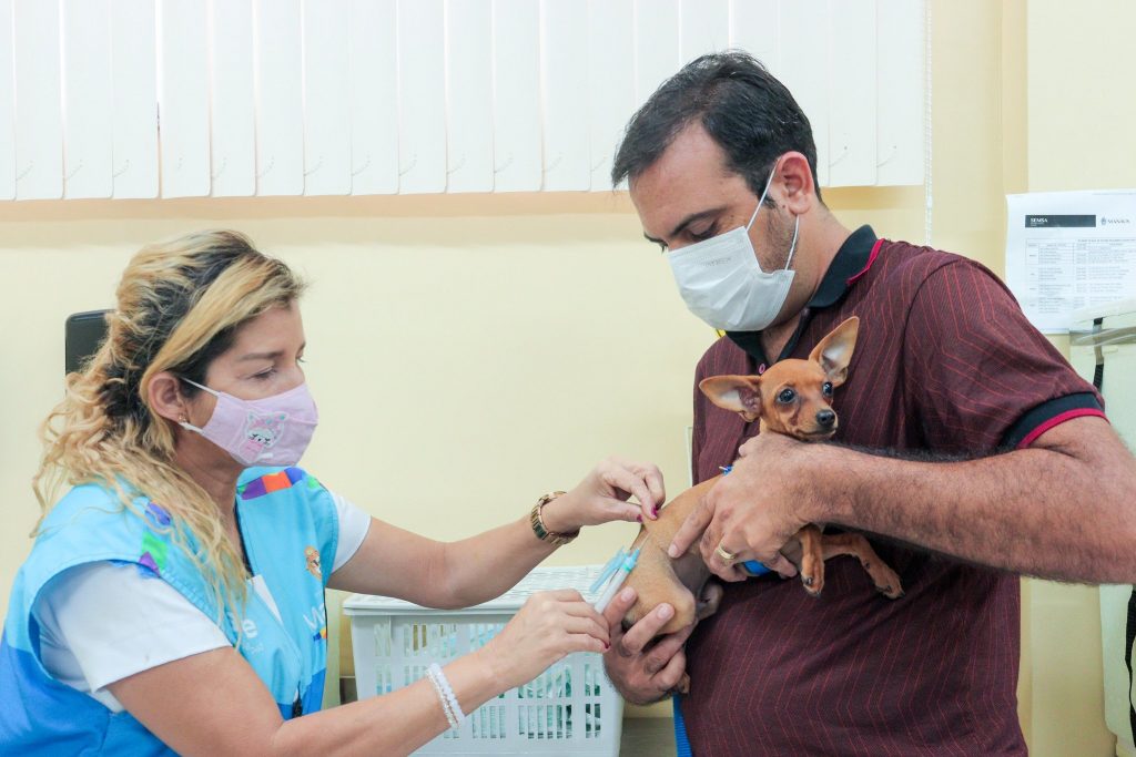 Animais recebem vacinação antirrábica do CCZ durante feriado prolongado em Manaus